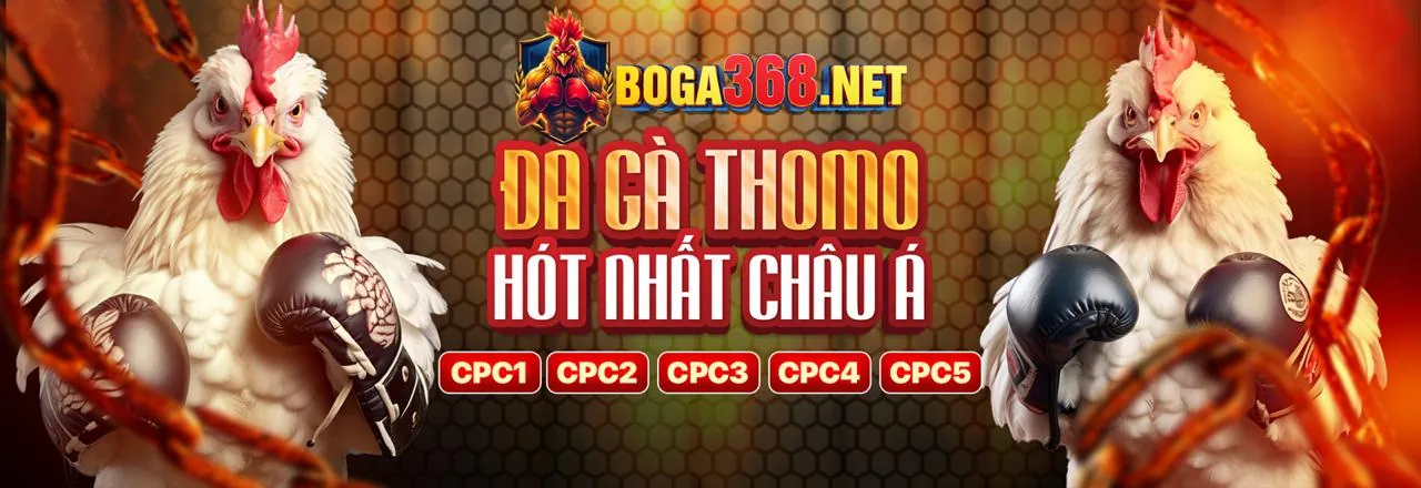 Giao diện cá cược thể thao trên ứng dụng sbotop